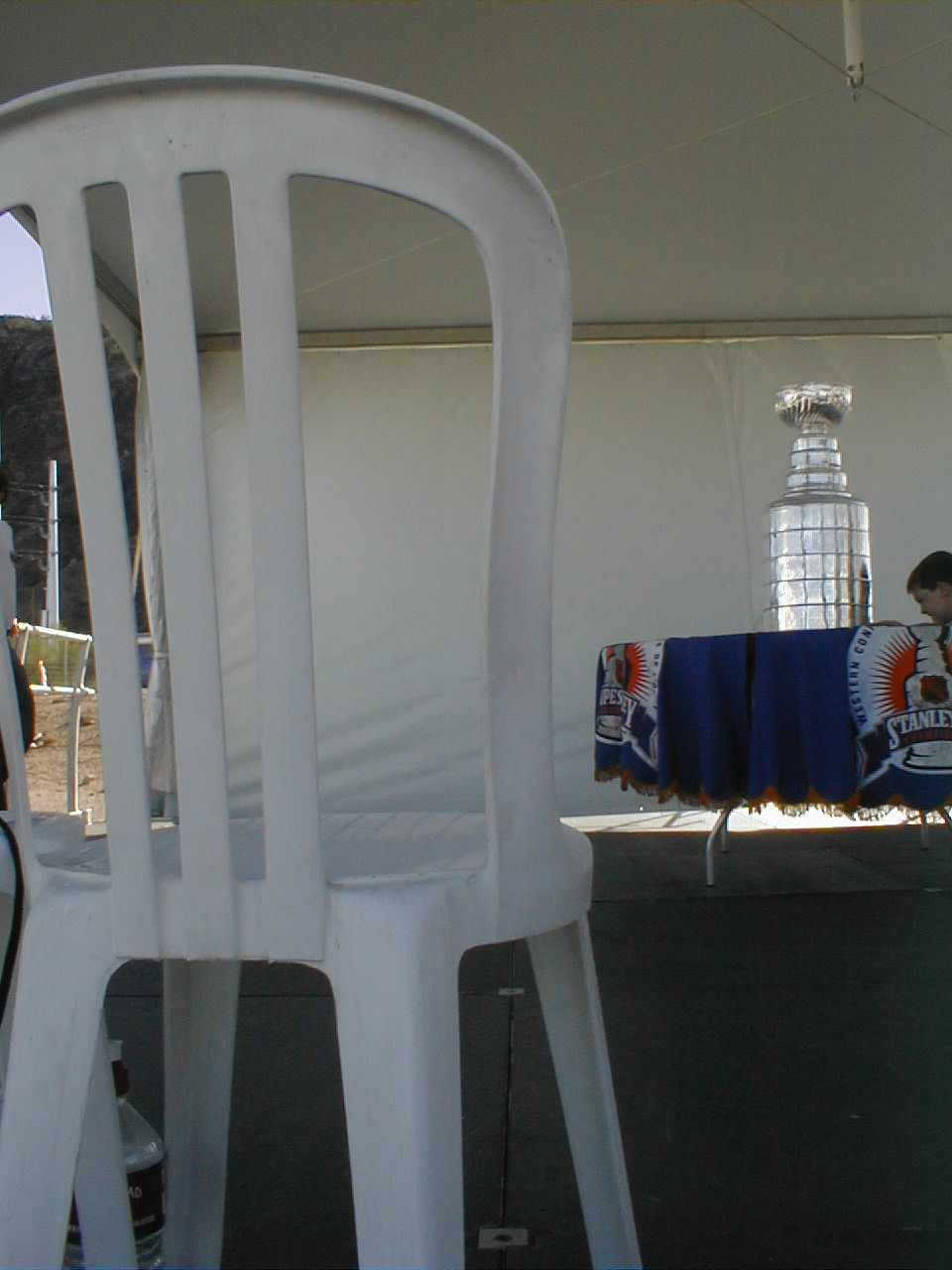 THE CUP.jpg